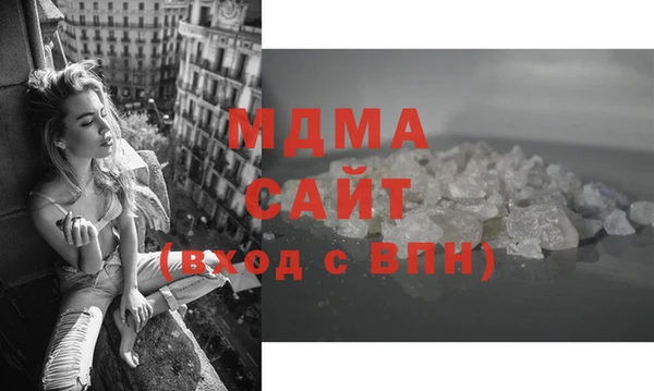 дмт Богданович