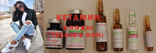 дмт Богданович