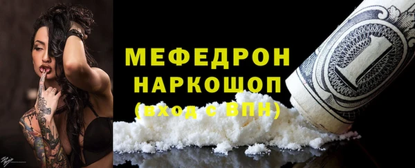 дмт Богданович