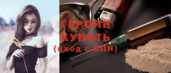 гашик Новозыбков