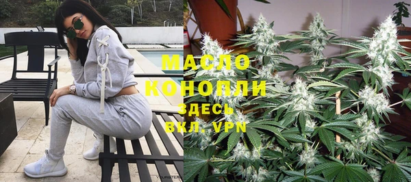 дмт Богданович
