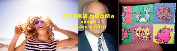 гашик Надым