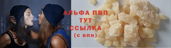 дмт Богданович