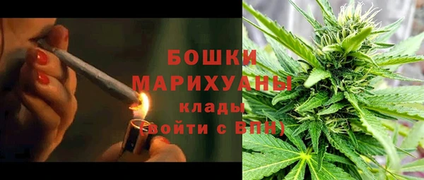 дмт Богданович