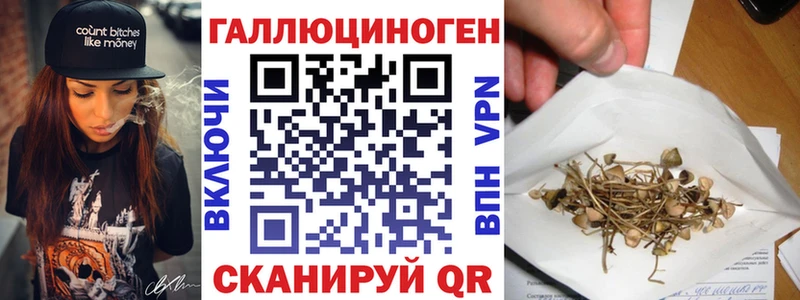 Псилоцибиновые грибы прущие грибы  купить наркотик  Михайловск 